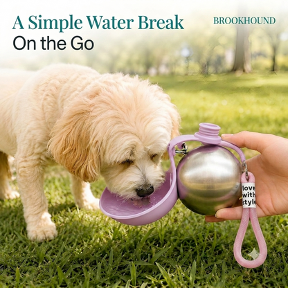 Portable Dog Water Bottle